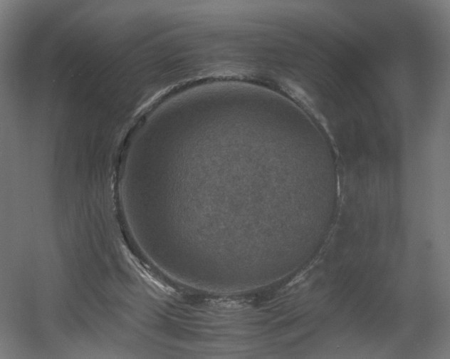 X0000060550249200511031224