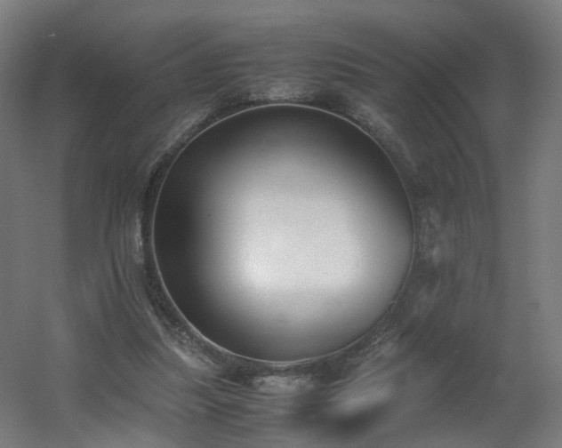 X0000060550251200511031224