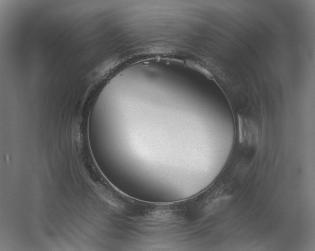 X0000060550252200511031224