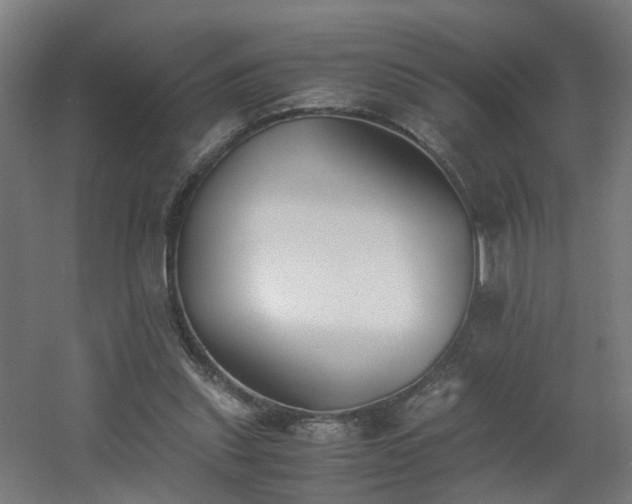X0000060550253200511031224