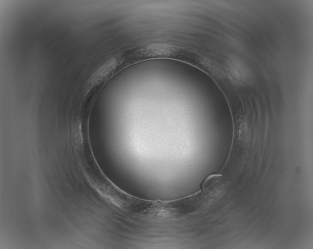 X0000060550254200511031224