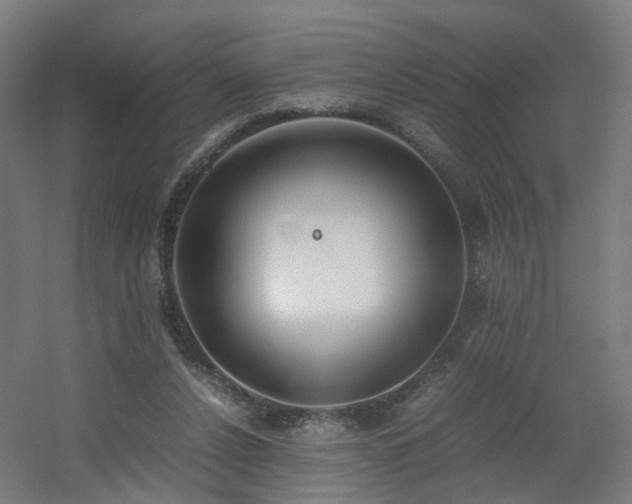 X0000060550256200511031224