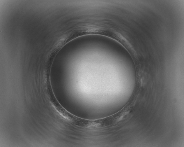 X0000060550257200511031224