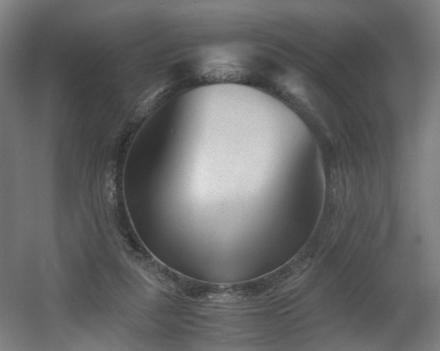X0000060550259200511031224