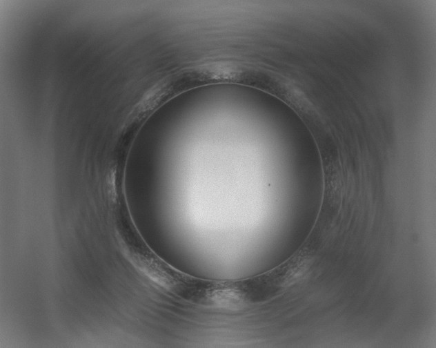 X0000060550262200511031224