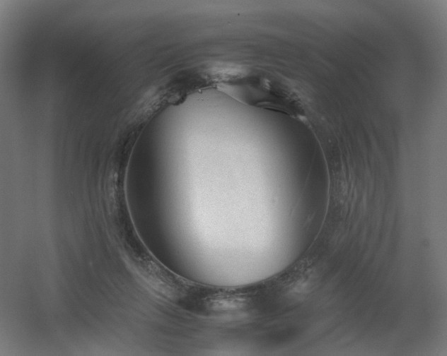 X0000060550263200511031224