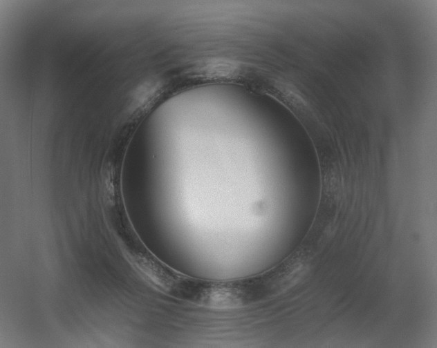 X0000060550264200511031224