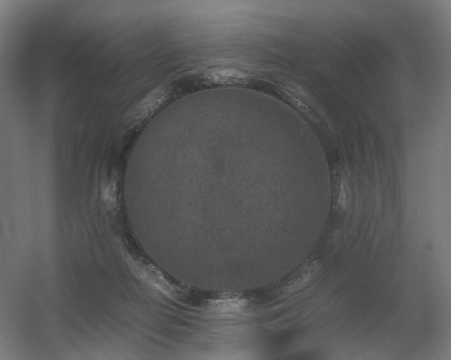 X0000060550266200511031224