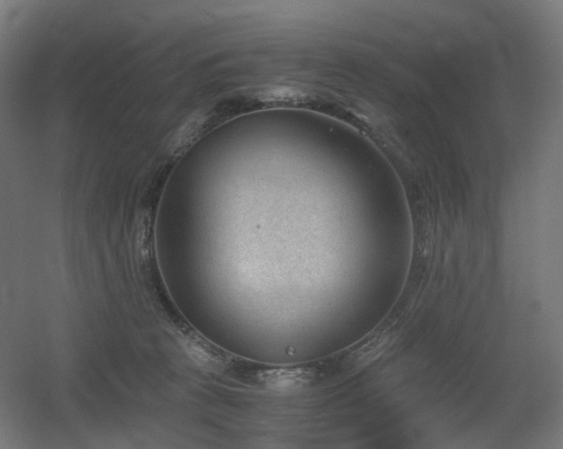 X0000060550273200511031224
