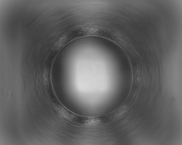 X0000060550274200511031225