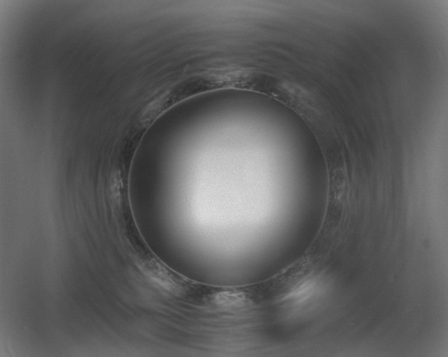 X0000060550279200511031225