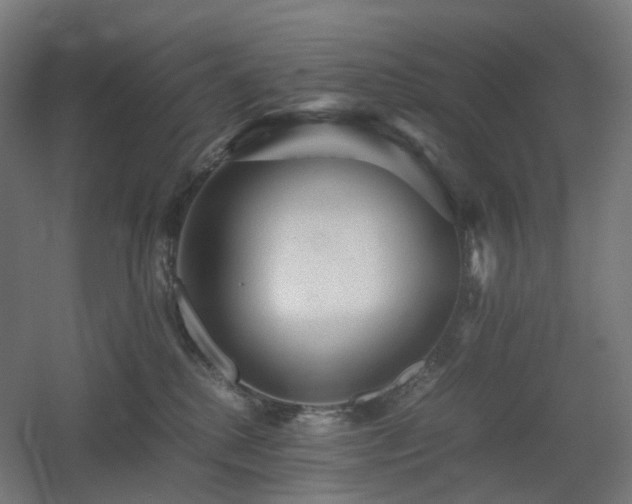X0000060550280200511031225