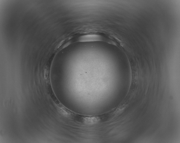 X0000060550281200511031225