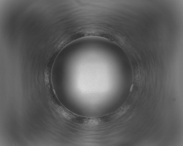 X0000060550282200511031225