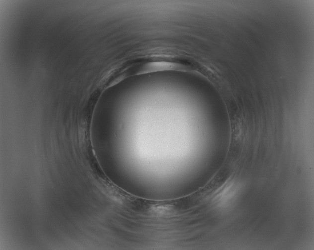 X0000060550283200511031225