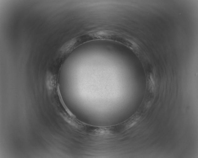 X0000060550284200511031225
