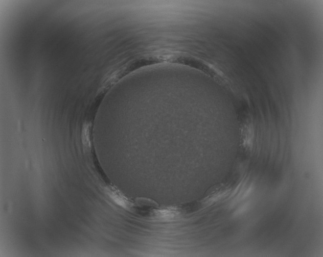 X0000060550286200511031225