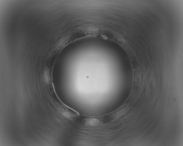 X0000060550287200511031225