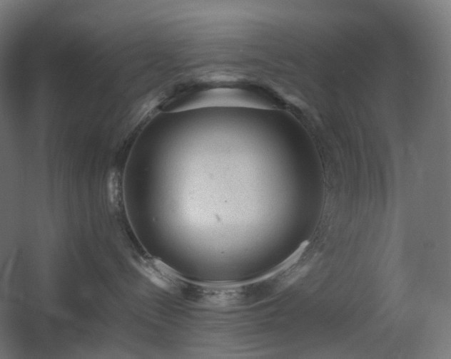 X0000060550288200511031225
