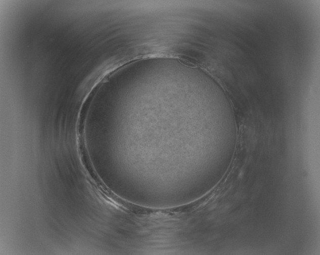 X0000060550290200511031224