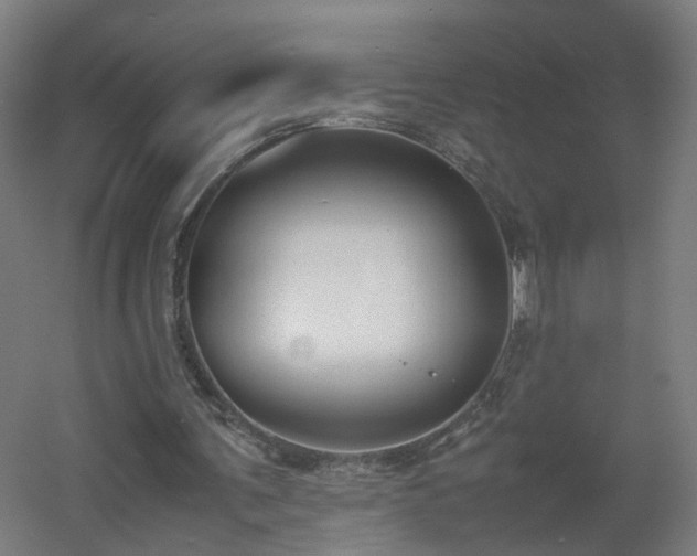 X0000060550291200511031224