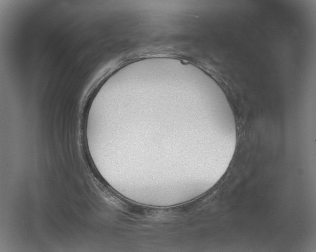 X0000060550293200511031224