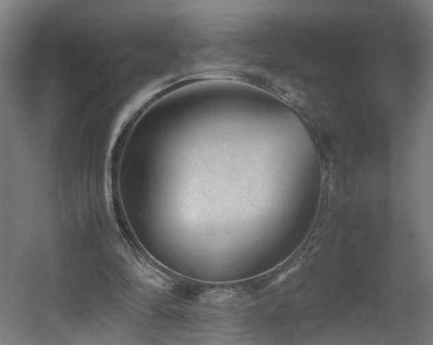 X0000060550294200511031224