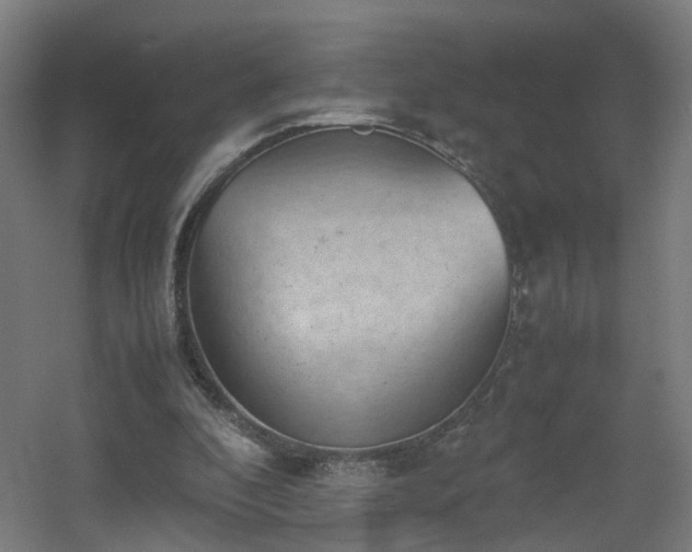 X0000060550296200511031224