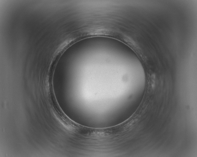 X0000060550298200511031224