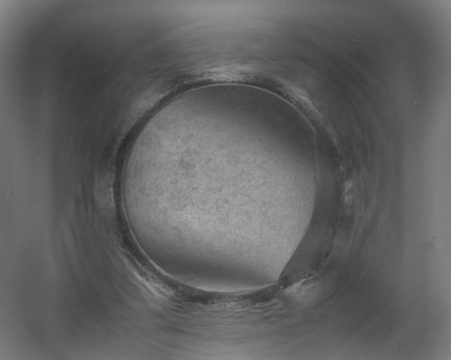 X0000060550299200511031224