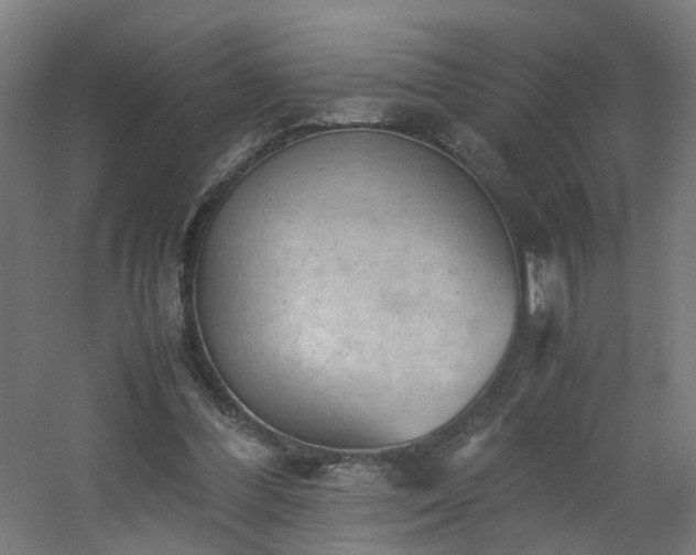X0000060550300200511031224