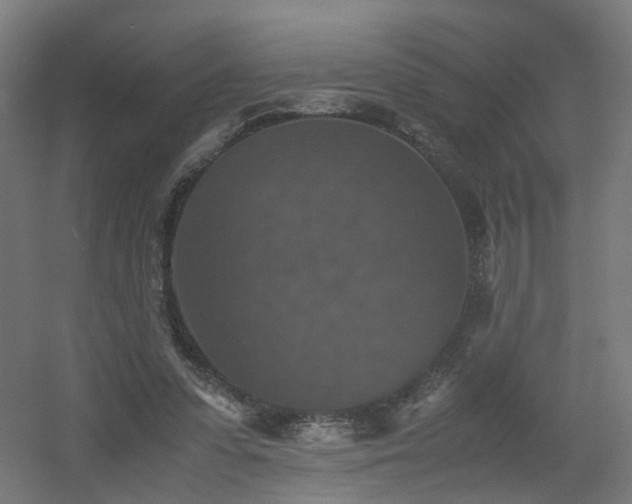 X0000060550303200511031224