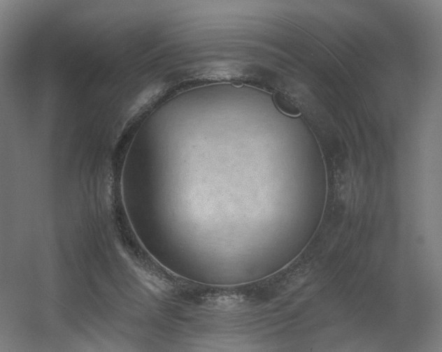 X0000060550304200511031224