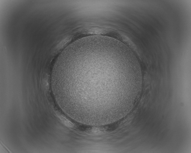 X0000060550305200511031224