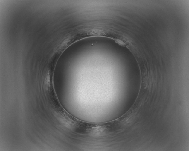 X0000060550310200511031224