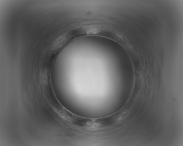 X0000060550311200511031224