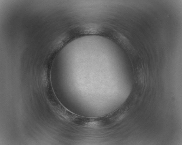 X0000060550312200511031224