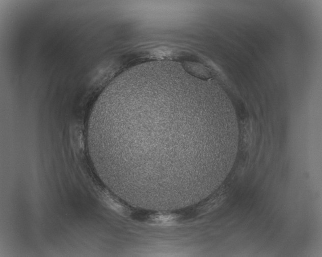 X0000060550313200511031224
