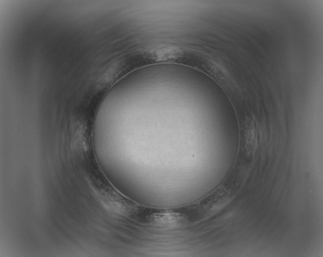 X0000060550316200511031223