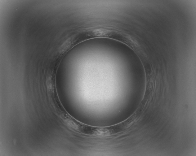 X0000060550317200511031223