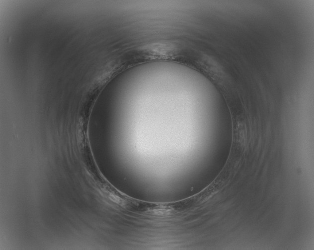 X0000060550318200511031223