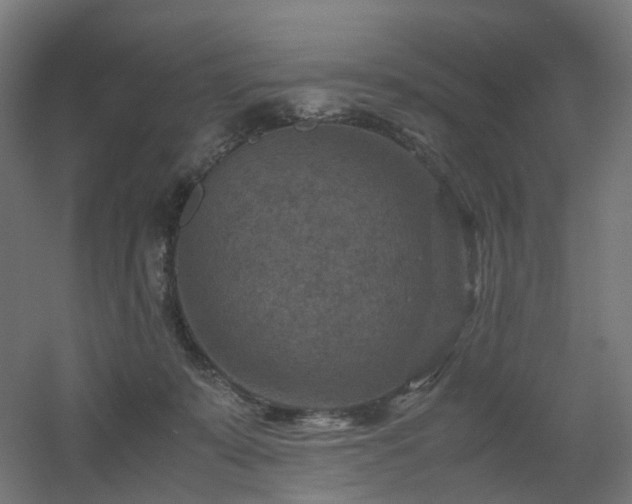 X0000060550319200511031223