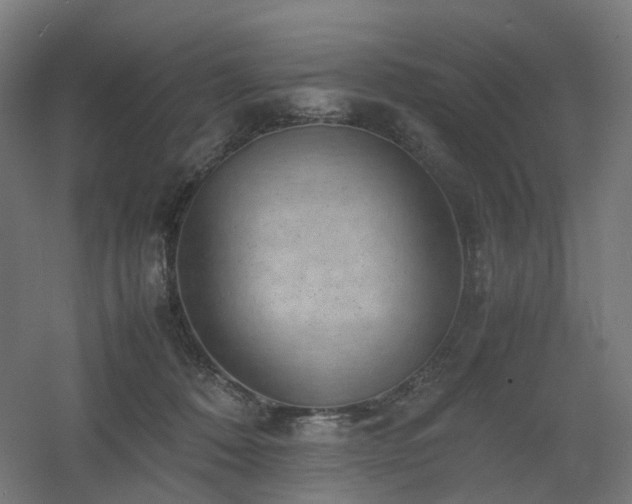 X0000060550320200511031223