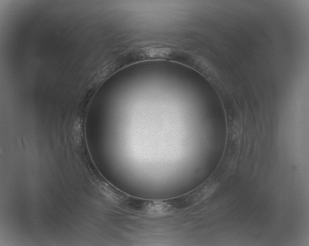 X0000060550321200511031223
