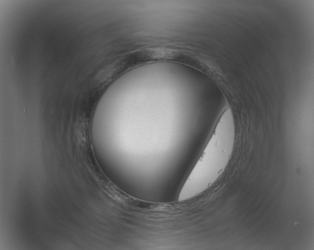 X0000060550325200511031223