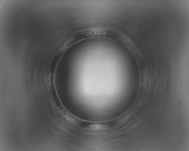 X0000060550326200511031223