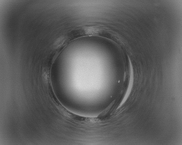 X0000060550329200511031223