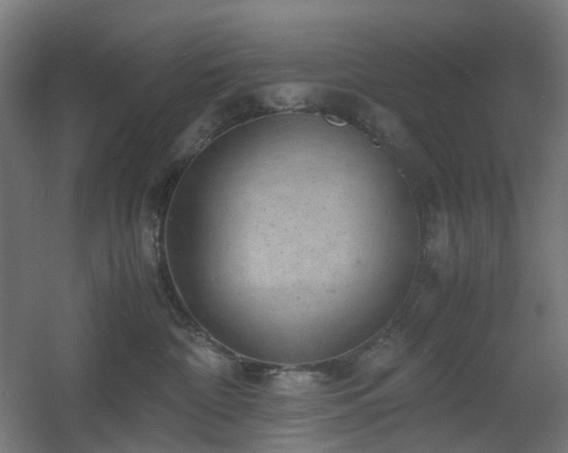 X0000060550332200511031223