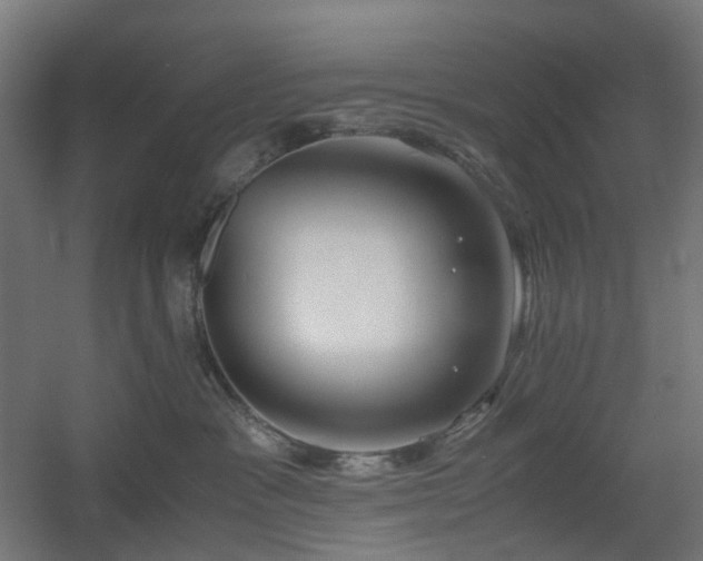 X0000060550333200511031223