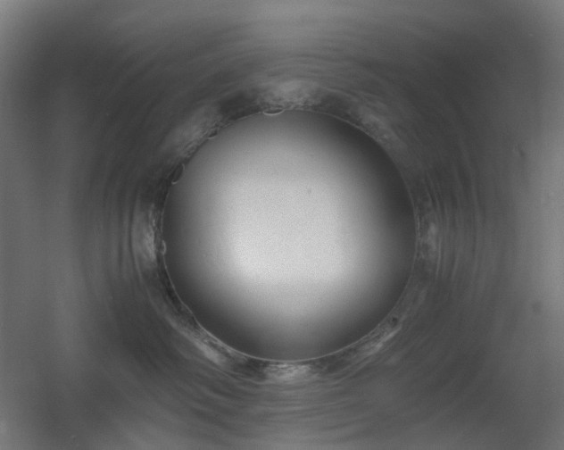 X0000060550334200511031223